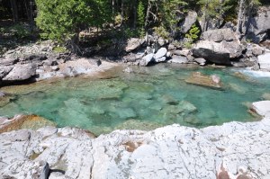 Avalanche Creek