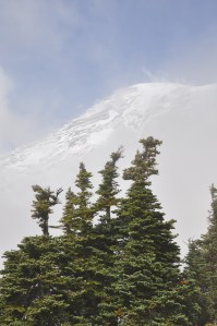 Our second view of Mt. Rainier of the day.