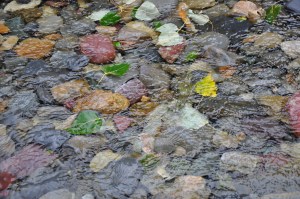 Swiftwater Current Lake