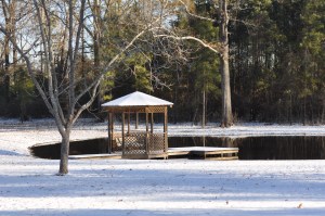 Greg and Beth's Place